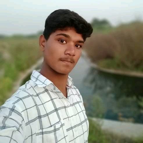 modelboyanil143 - original sound