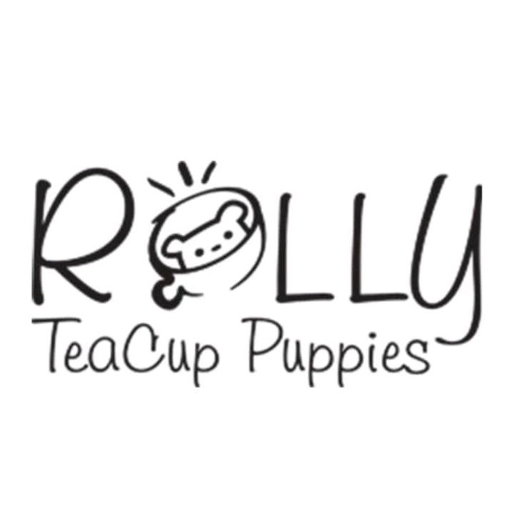 오리지널 사운드 Rolly Teacup Puppies Rolly Teacup Puppies Tiktok Music Videos Tubzi Tiktok Viewer - roblox songs rolly rolly