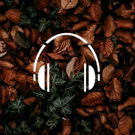 @Hussain¶ - original sound